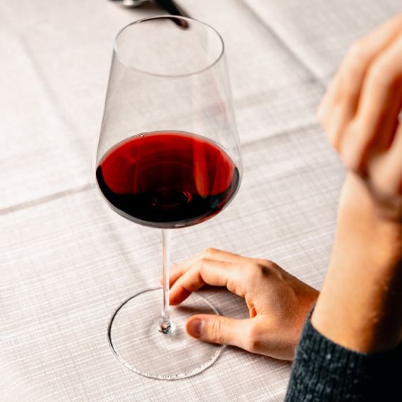 Набор из 6-ти бокалов для Бордо 600 мл серия Q1, D 102 мм, H 263 мм, Stolzle, фото , изображение 5